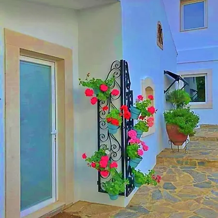 Panzió Rosa - Quinta Casalinho Da Azenha Sintra