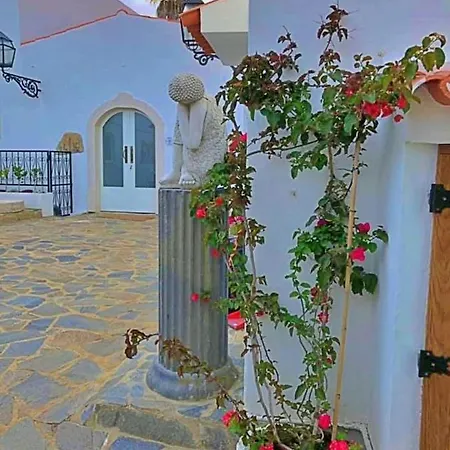 Rosa - Quinta Casalinho Da Azenha